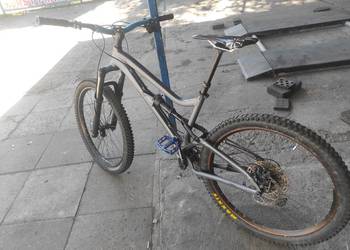 Dartmoor Blue Bird Evo 2022