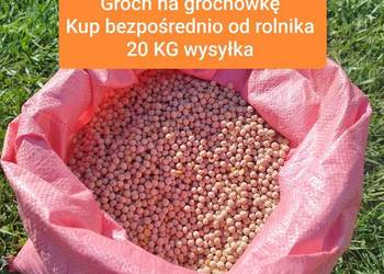 GROCH na grochówkę 20 KG bezpośrednio z Gospodarstwa Rolnego wysyłka