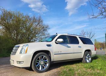 CADILLAC ESCALADE ESV PLATINUM 6.2 V8 BIAŁA PERŁA DŁUGI NAJBOGATSZY ZDROWY