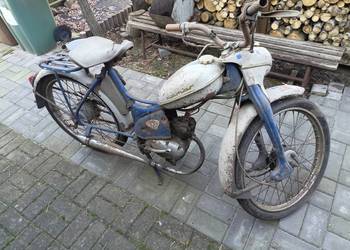 Komar Romet sztywniak