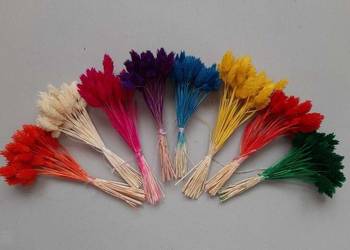 Suszone rośliny do palm bukietów