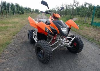 Adly 300xs
