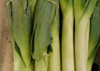 Por warzywa Por warzywa