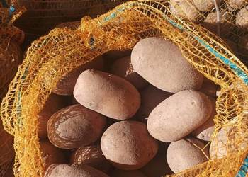 Ziemniaki Queen Anne