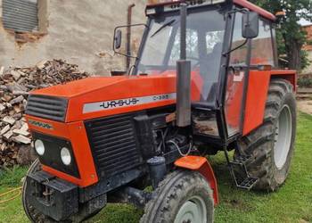 Ursus c385