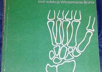 Zarys reumatologii - Red. Włodzimierz Bruhl