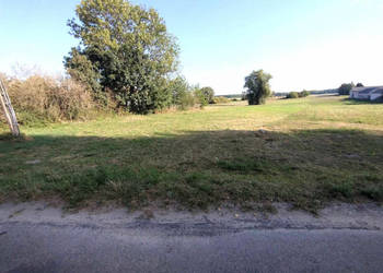 Grunt sprzedam Borków 11200m2