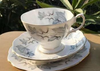 Filiżanka Silver Maple. Royal Albert.  Klon srebrzysty Filiżanka Silver Maple. Royal Albert.  Klon srebrzysty