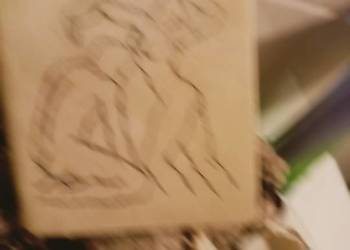 Spark Cieplarnia nad rzeką Wschodnią książki prezenty unikat