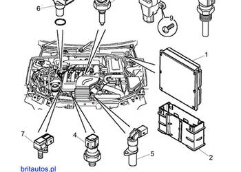 CZUJNIK POWIETRZA DOLOTOWEGO NNK000050 ROVER 75 MG ZT