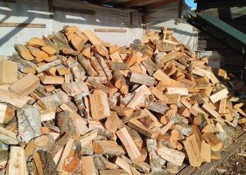 Drewno brzoza olszyna