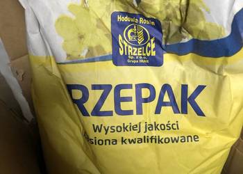 Rzepak jary Laur C1, Lumen F1, Lagoon F1