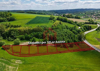 Ogłoszenie działka Wielopole Skrzyńskie 1000m2
