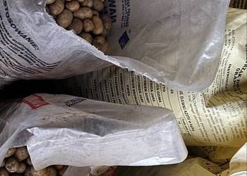 Oddam za whisky i kawę lub czekoladę ziemniaki paszowe 400kg.
