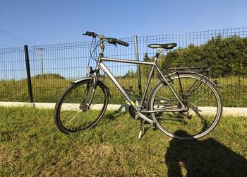 Rower Pegazus Solero