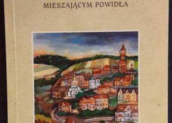 O CHŁOPCU MIESZAJĄCYM POWIDŁA - SZUBER JANUSZ