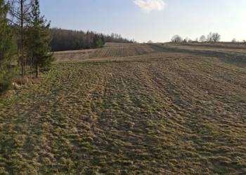 Działka rolno budowlana