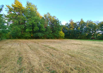 Działka budowlana blisko Kazimierza Dolnego