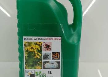 Wrotycz 5L