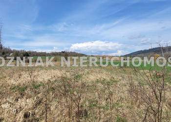 Działka 5001m2 Mieroszów