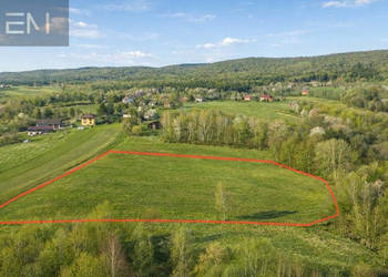 Działka 8800m2 Huta Gogołowska