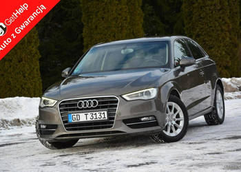 Audi A3 3-drzwiowe Lift bi-xenon Ledy Navi Parktronic Klimatronik serwis z…