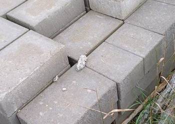 Bloczek betonowy fundamentowy