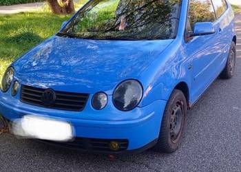 W Polo