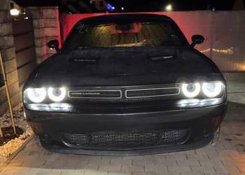 DODGE Challenger 3.6 V6 | 2017 | USA | 201 000 km (oryg.)
