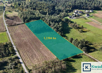 Działka Sieklówka 12304m2