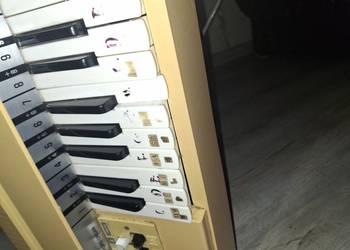 Sprzedam organy Magnus lata 60/70