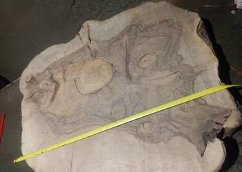 Orzech  włoski plaster