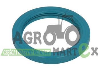 V35105200, 35105200, F291100220090, 04331422 USZCZELKA 65x85x10 AGCO