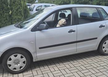 VW POLO FOX 1400 BENZYNA+SPRAWNA KLIMA !!!