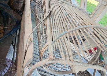 Sortownik ziemniaków