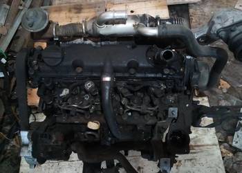 Silnik Peugot Citroen 2.0hdi RHV 02-06r inne