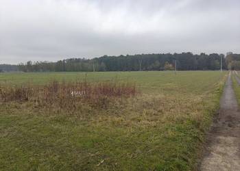 Syndyk sprzeda - Kobierne