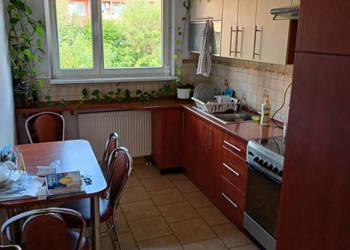 Mieszkanie 2-pok + kuchnia, balkon, piwnica, Krzyki, os Gaj