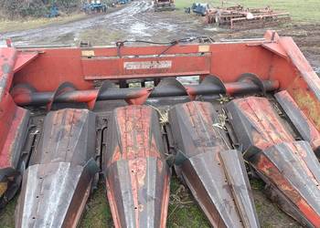 Przystawka do kukurydzy Greinghoff PC 5 rzędowa