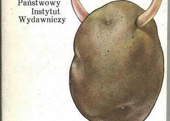 WIOCHA CHODAKÓW - RYBOWICZ JAN WIOCHA CHODAKÓW - RYBOWICZ JAN