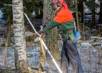 Lewar Kellfri do obalania drzew 1700kg 135–220cm, Wycinka drzew