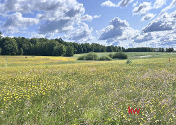 Grunt do sprzedania Kwidzyn 1250m2