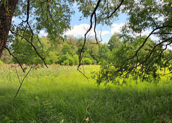 Działka 16000m2 Sobolewo Baranowicka