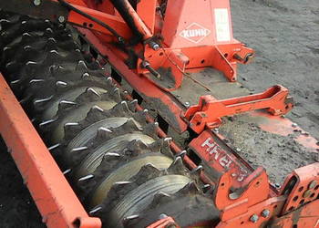 Brona talerzowa kun czyyny