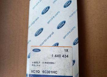 1440434 Pasek wielorowkowy Ford Transit 2.4 TDCi