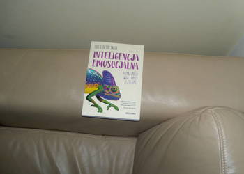 Inteligencja emosocjalna Luis Stortini Sabor