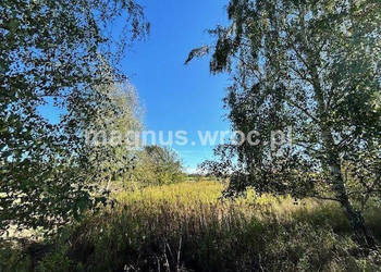 Duża działka na leśnym osiedlu w Miłoszycach!