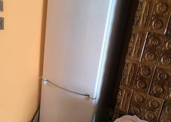 Lodówka Polar max188