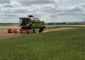 Claas Dominator 96