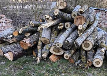 Drewno opałowe topola i olcha